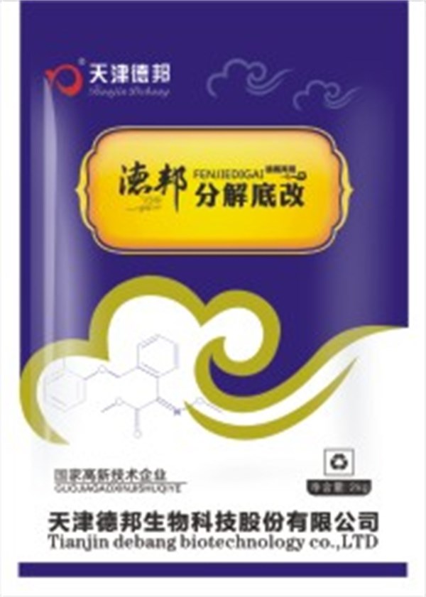 分解底改.jpg