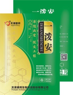 一泼安.jpg