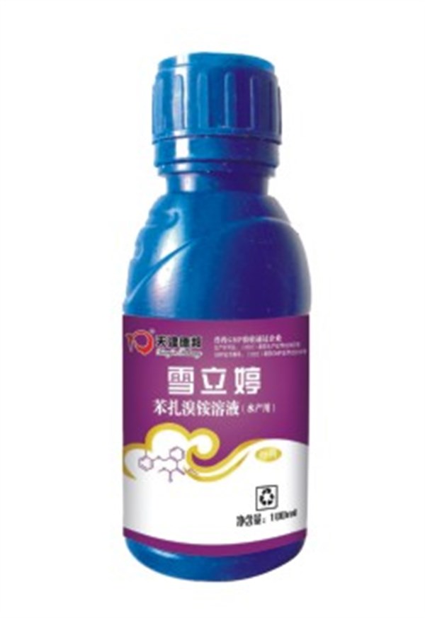 雪立婷.jpg