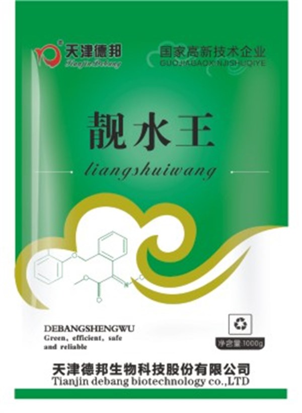 靓水王.jpg