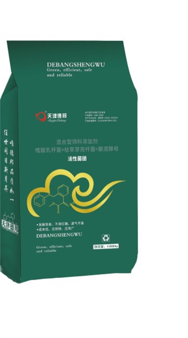 活性菌团.jpg
