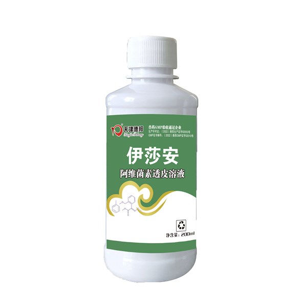 伊莎安.jpg