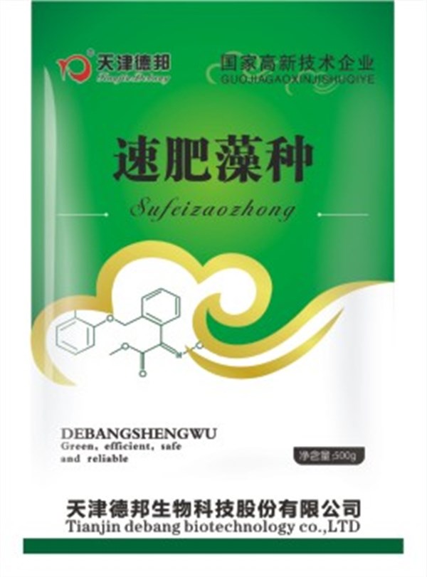 速肥藻种.jpg
