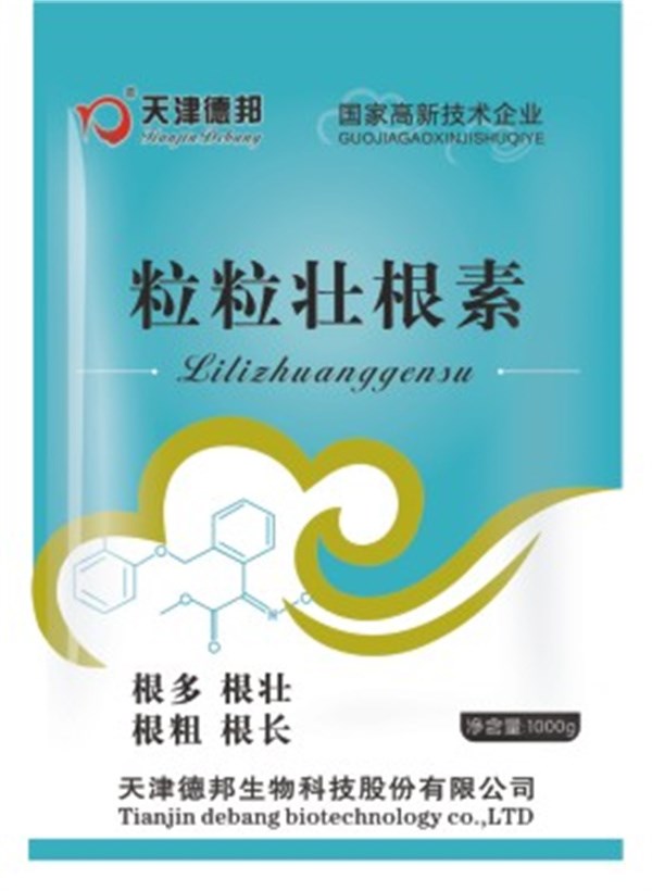 粒粒壮根素.jpg