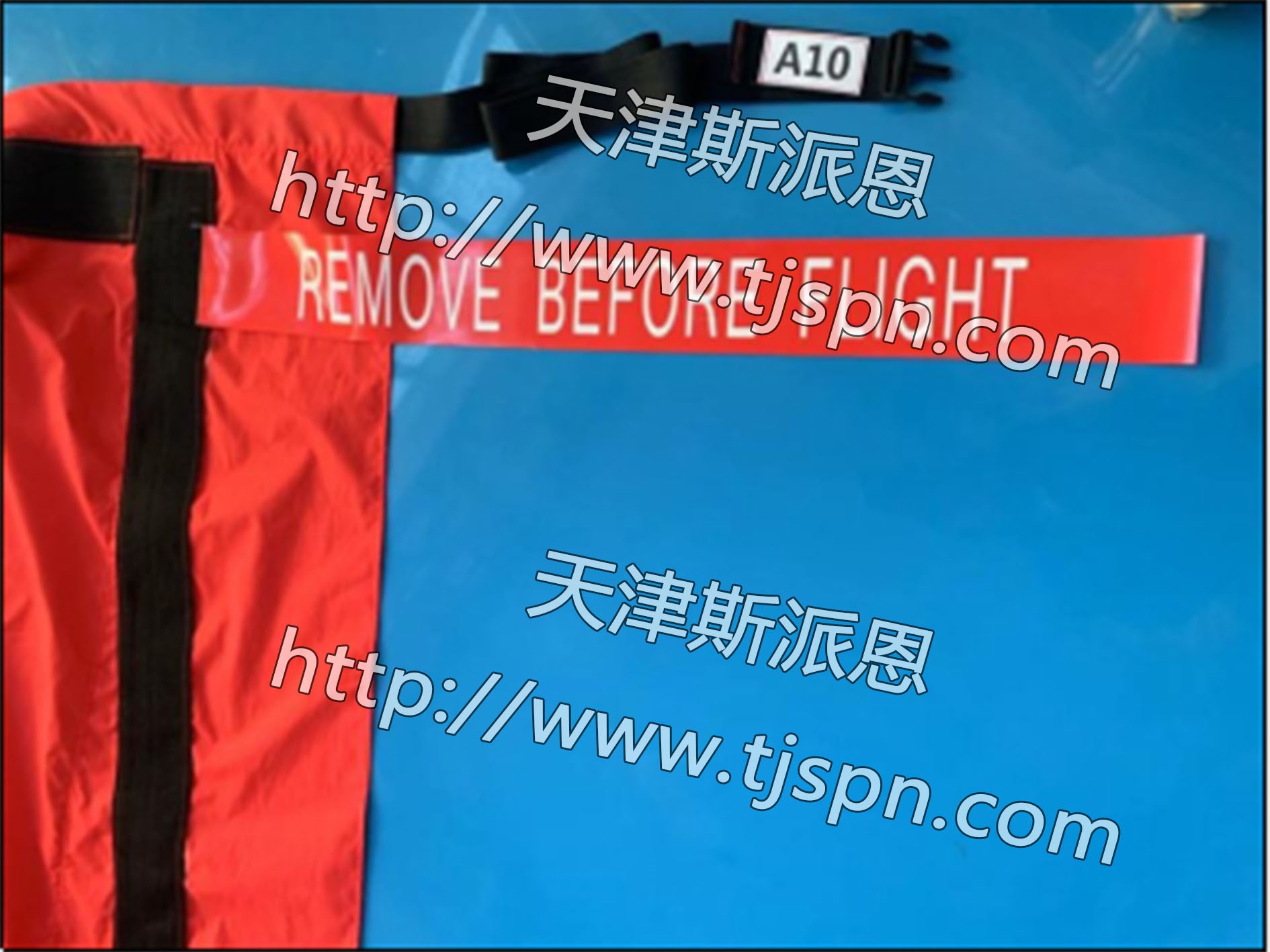 大翼-1.jpg