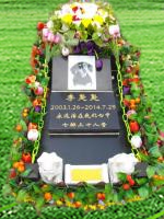 宠物墓地