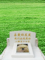 宠物墓地