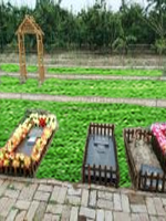 宠物墓地