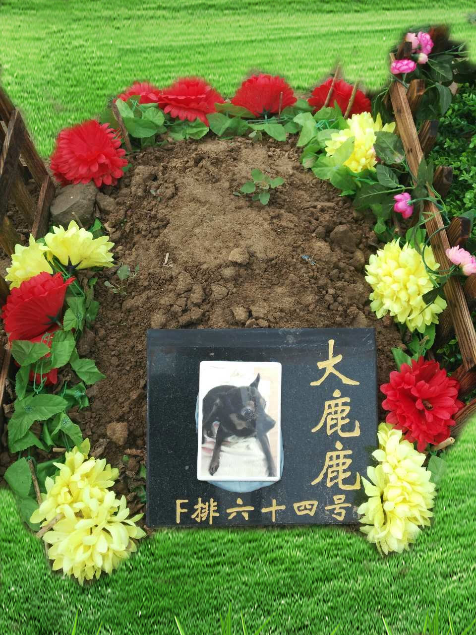 宠物墓地