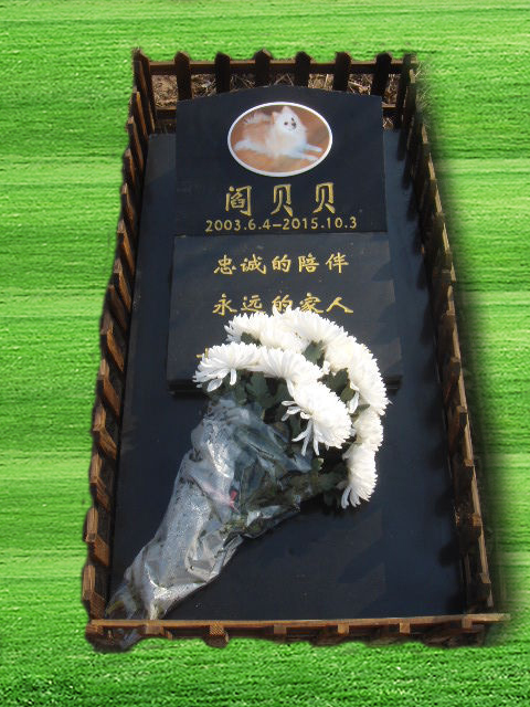 宠物墓地