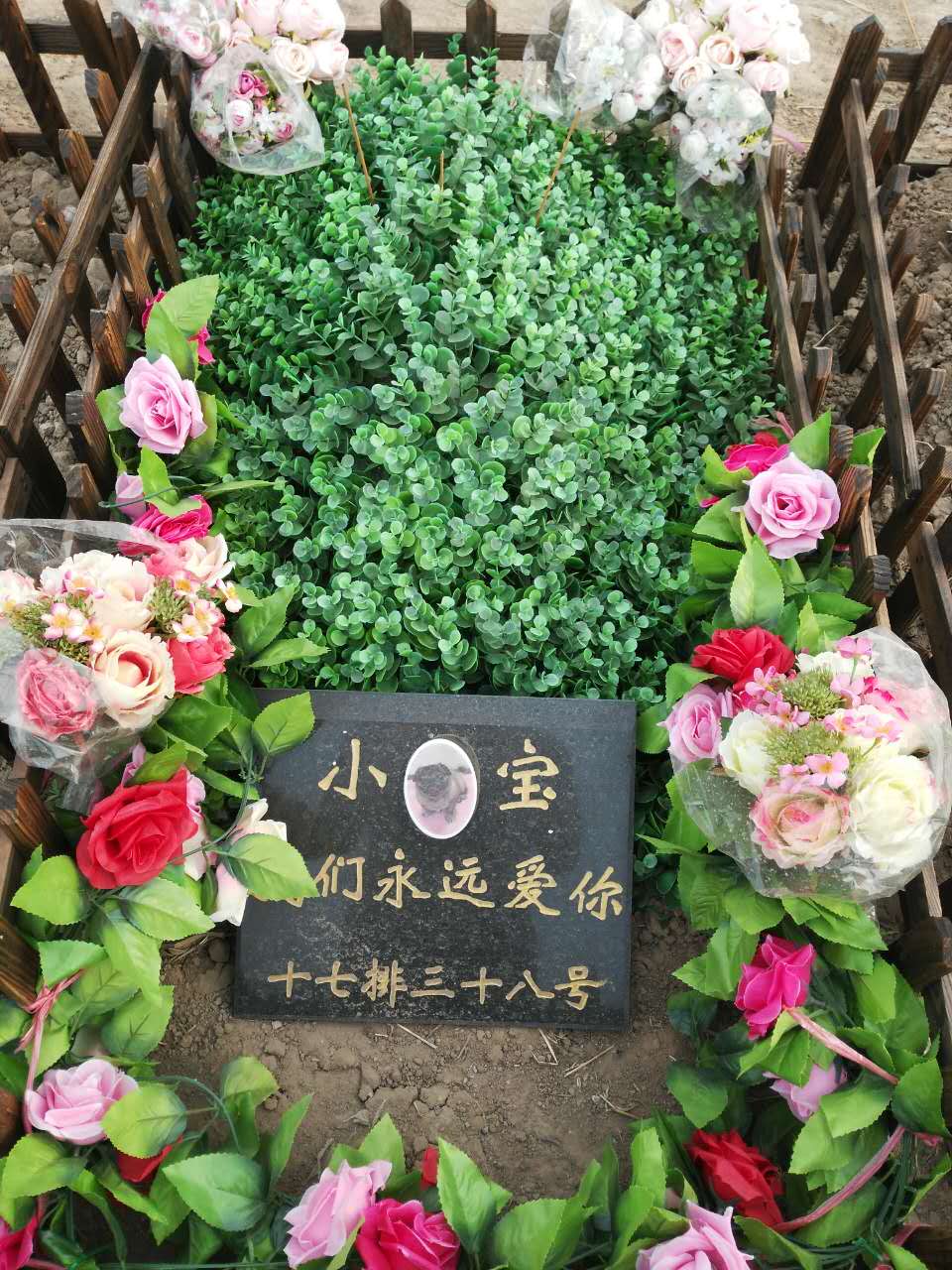 宠物墓地
