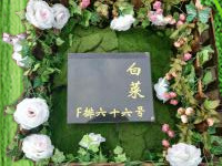 宠物墓地