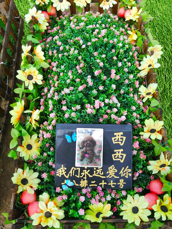 宠物墓地