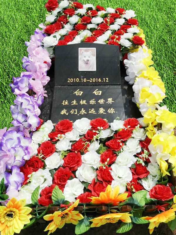 宠物墓地