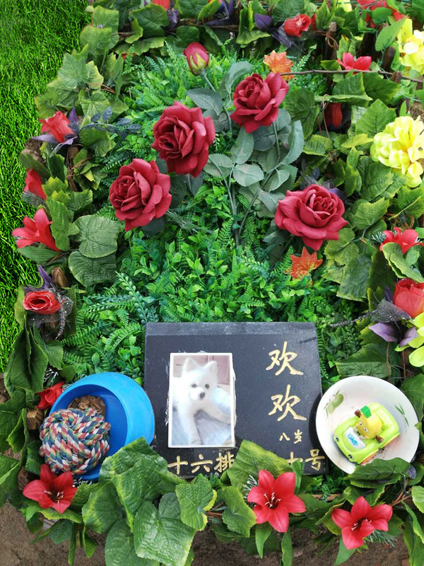 宠物墓地