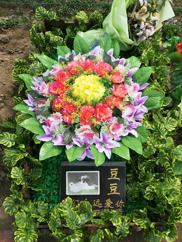 宠物墓地