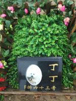 宠物墓地
