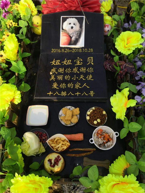 宠物墓地