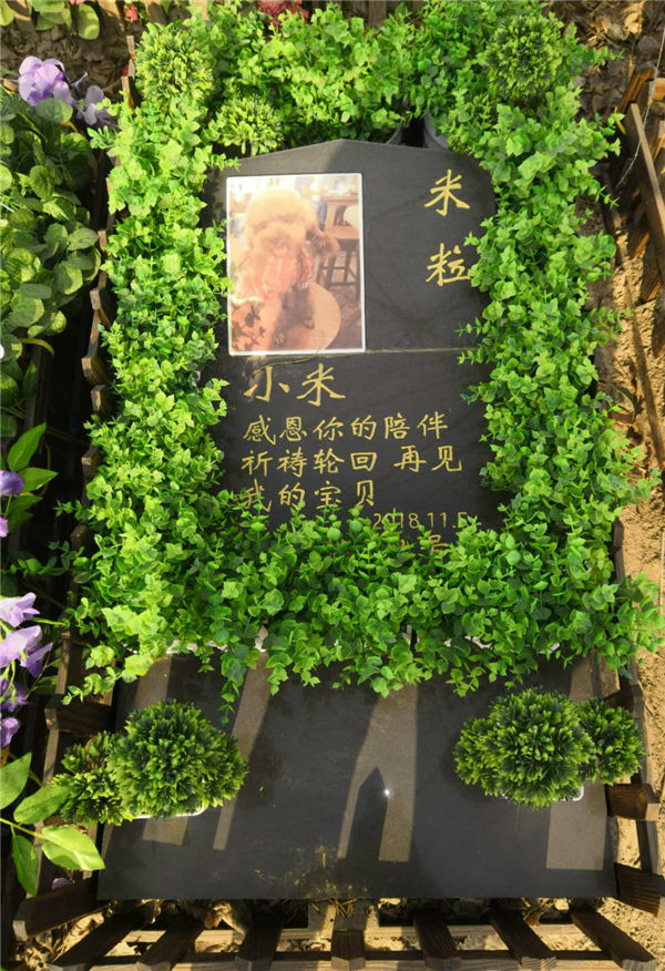 宠物墓地