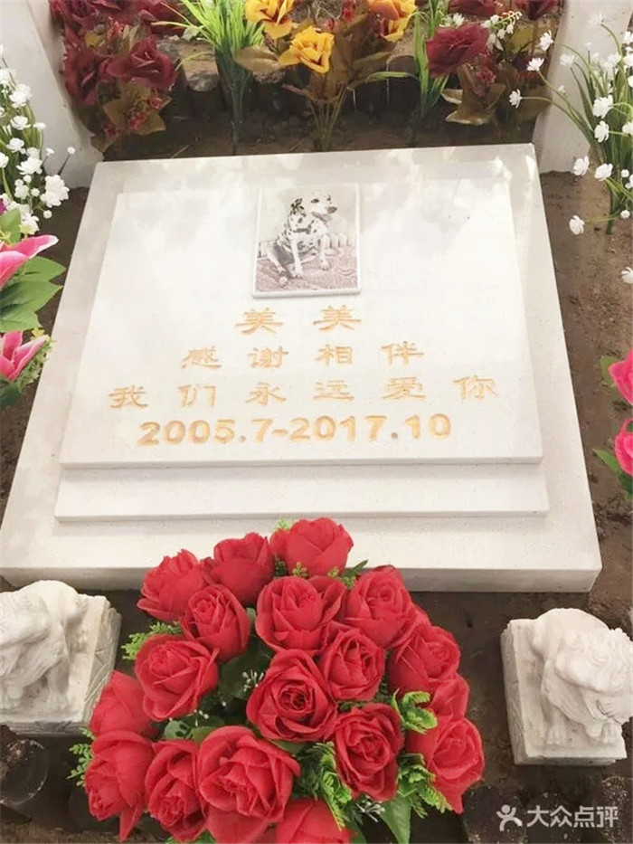 宠物墓地