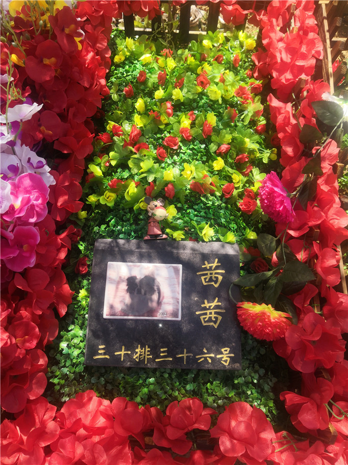 宠物墓地