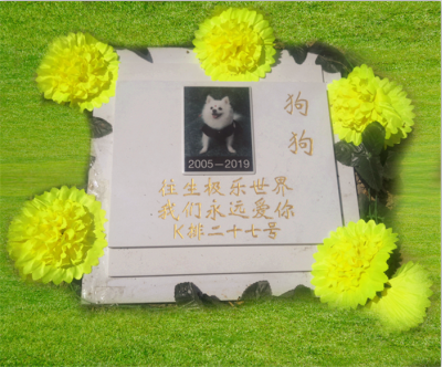 宠物墓地