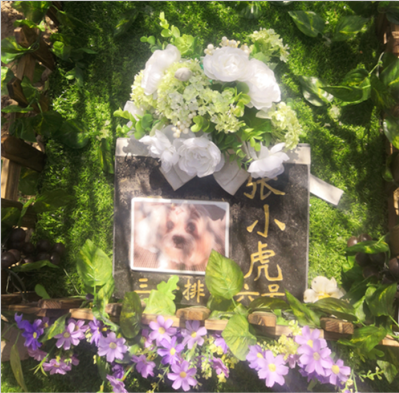 宠物墓地