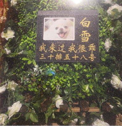 宠物墓地