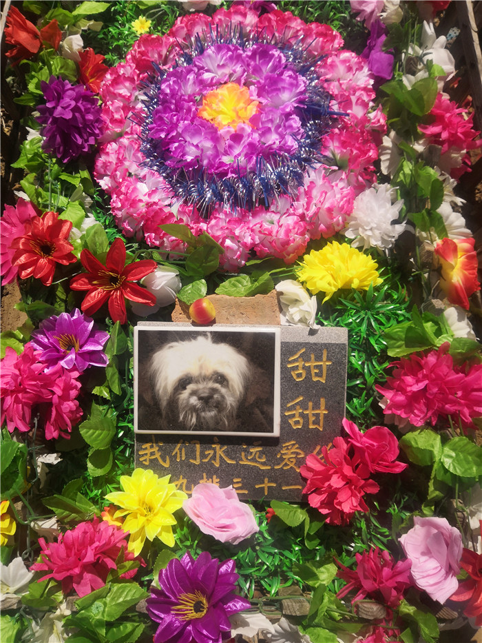 宠物墓地