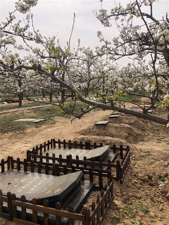 宠物墓地