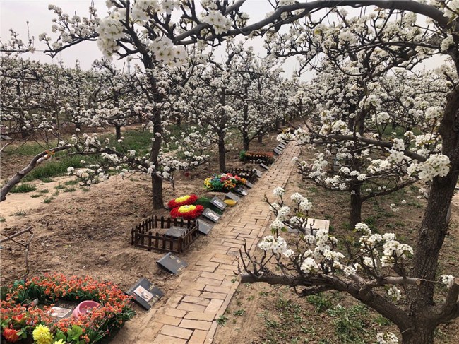 宠物墓地