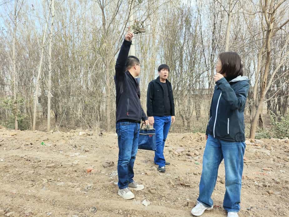 IMG_20250324_150812.jpg IMG_20250324_150812.jpg