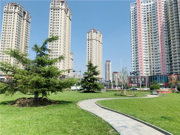 西大桥公园 (2).jpg