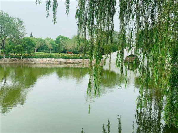 月牙河公园.jpg